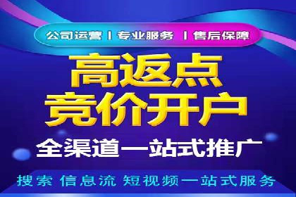 搜索开户返点揭秘：成功案例分享
